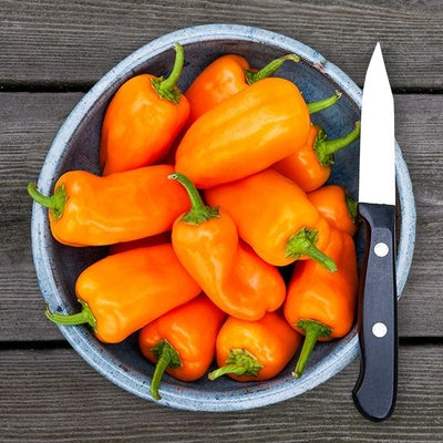 Seeds Hms Orange Picnic Pepper: 10 Seed Packet [HIGH MOWING #2810.1] T