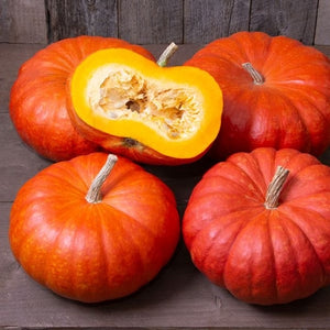 Seeds Cinderella Pumpkin: 1/8 oz Packet [HIGH MOWING #2845.1] T