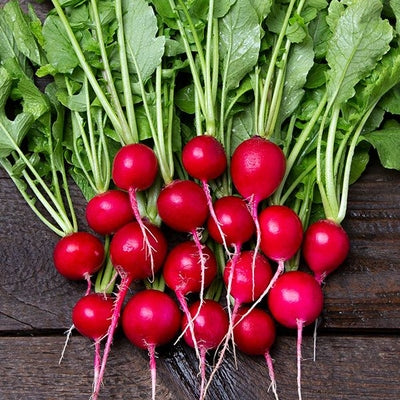 Seeds Sora Radish: 100 Seed Packet [HIGH MOWING #2855.1] T