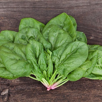 Seeds Butterflay Spinach: 1/4 oz Packet [HIGH MOWING #2868.1] T