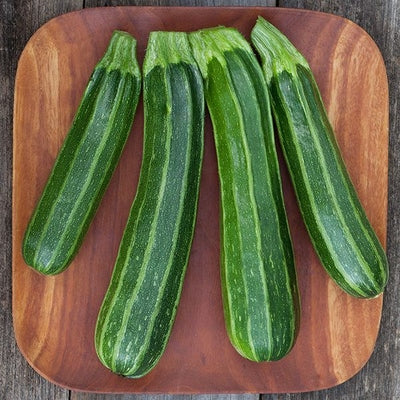 Seeds Cocozelle Zucchini: 1/8 oz Packet [HIGH MOWING #2896.1] T