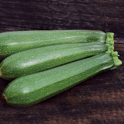 Seeds Dark Green Zucchini: 1/8 oz Packet [HIGH MOWING #2900.1] T