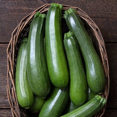 Seeds Stardust Zucchini: 1/8 oz Packet [HIGH MOWING #2903.1] T