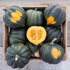 Seeds Sweet Reba Acorn Squash: 1/8 oz Packet [HIGH MOWING #2920.1] T