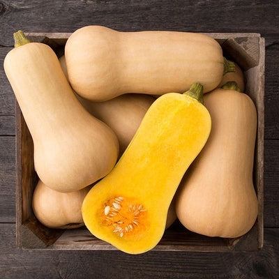 Seeds Waltham Butternut Squash: 1/8 oz Packet [HIGH MOWING #2940.1] T