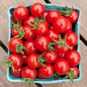 Seeds Matts Wild Cherry Tomato: 1/10 Gram Packet [HIGH MOWING #2970.1] T