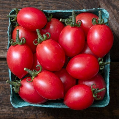 Seeds Pink Champagne Cherry Tomato: 10 Packet [HIGH MOWING #2999.1] T