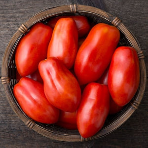 Seeds San Marzano Paste Tomato: 1/10 Gram Packet [HIGH MOWING #3047.1] T