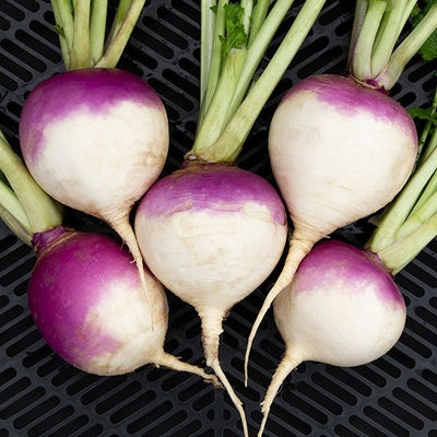 Seeds Purple Top White Turnip: 1/32 oz Packet [HIGH MOWING #3185.1] T