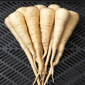 Seeds Lancer Parsnip: 1/32 oz Packet [HIGH MOWING #3189.1] T