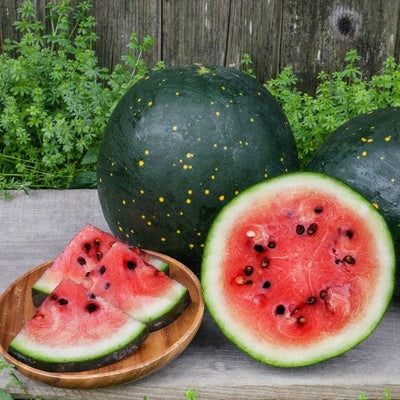 Seeds Moon And Stars Watermelon: 1/16 oz Packet [HIGH MOWING #3195.1] T