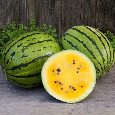 Seeds Baby Doll F1 Watermelon: 10 Seed Packet [HIGH MOWING #3199.1] T