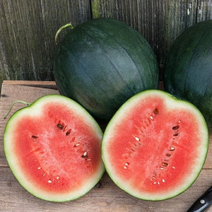 Seeds Sugar Baby Watermelon: 1/16 oz Packet [HIGH MOWING #3200.1] T