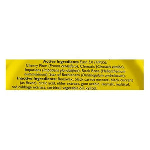 Bach Rescue Pastlls Blck Currant 50g 12/50 GR [UNFI #84957] T