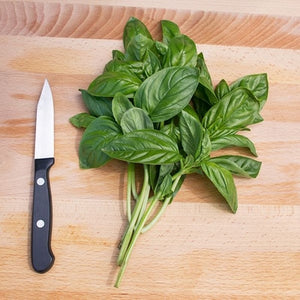 Seeds Genovese Basil: 1/32 oz Packet [HIGH MOWING #5000.1] T