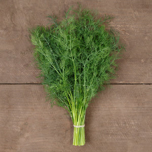 Seeds Ceres Dill [HIGH MOWING #5041.1] T