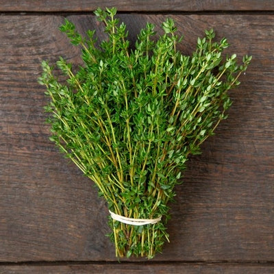 Seeds Thyme: 1/10 Gram Packet [HIGH MOWING #5140.1] T