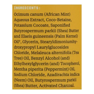 Alaffia Shampoo,Scalp Care,Tea Tree 12 OZ [UNFI #47428] T