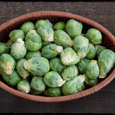 Seeds Igor F1 Brussels Sprouts: 10 Seed Packet [HIGH MOWING #7246.2] T