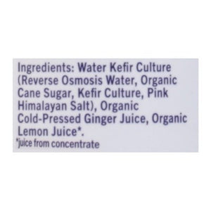 OG2 Doctor D`S Ginger Brew 6/12 OZ [UNFI #68463]
