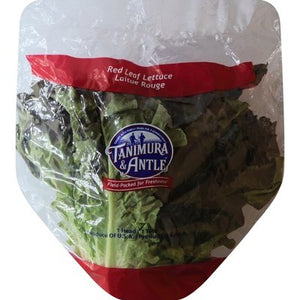 LETTUCE RED LEAF 1/1CT [Charlies #031-01459]