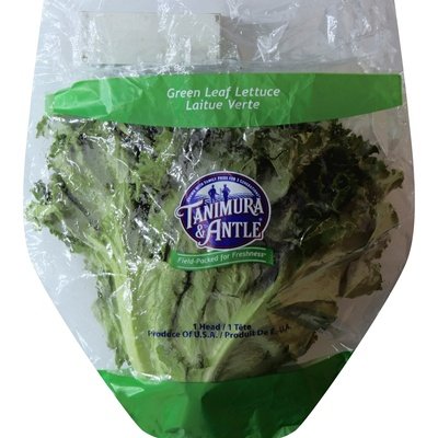 LETTUCE GREEN LEAF 1/1CT [Charlies #031-01449]